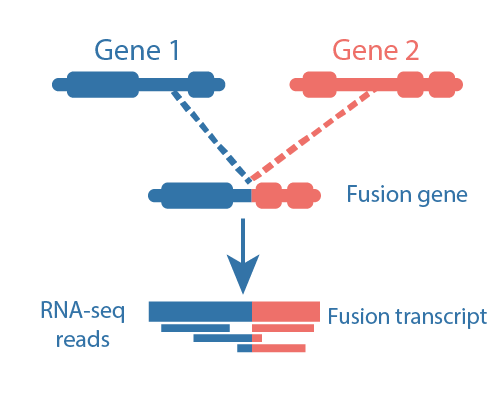 Fusion Gene Detection